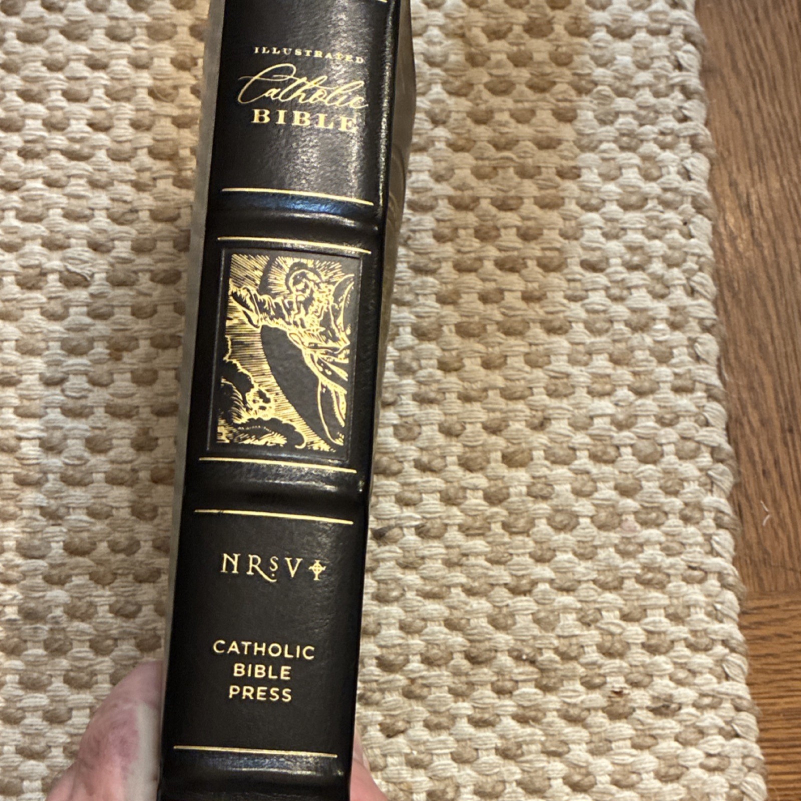 Catholic Bible Press NRSV Illustrated Catholic Bible Catholic Ed LeatherSoft