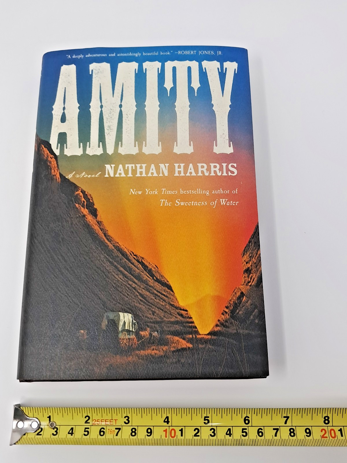 Amity by Nathan Harris (2025, Hardcover) American Historical Fiction novel