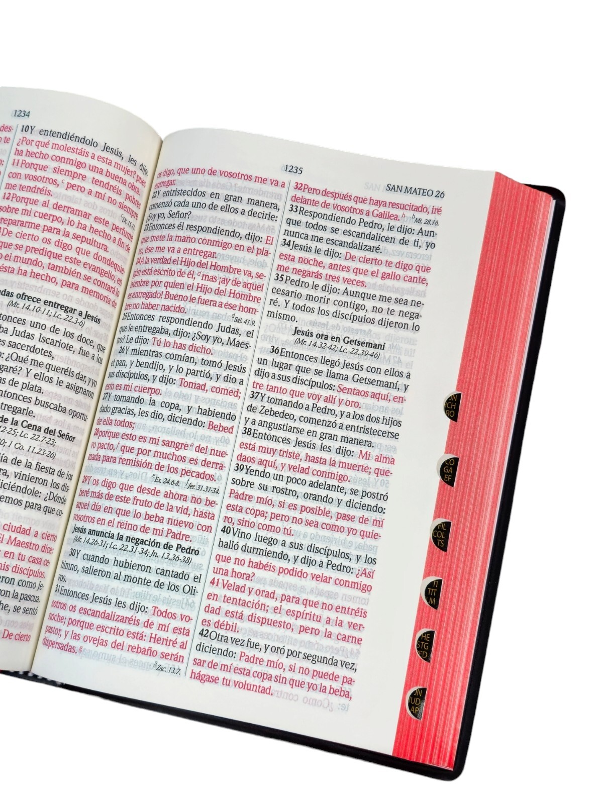BIBLIA LETRA GRANDE REINA VALERA 1960 MANUAL VINYL NEGRO INDEX CONCORDANCIA AMP.