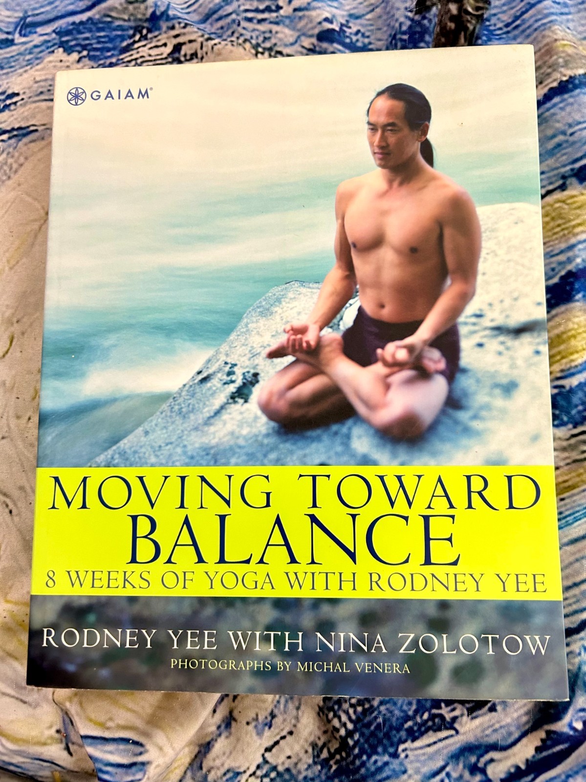MOVING TOWARD BALANCE RODNEY YEE NINA ZOLOTOW PAPERBACK BRAND NEW **FREE SHIP**