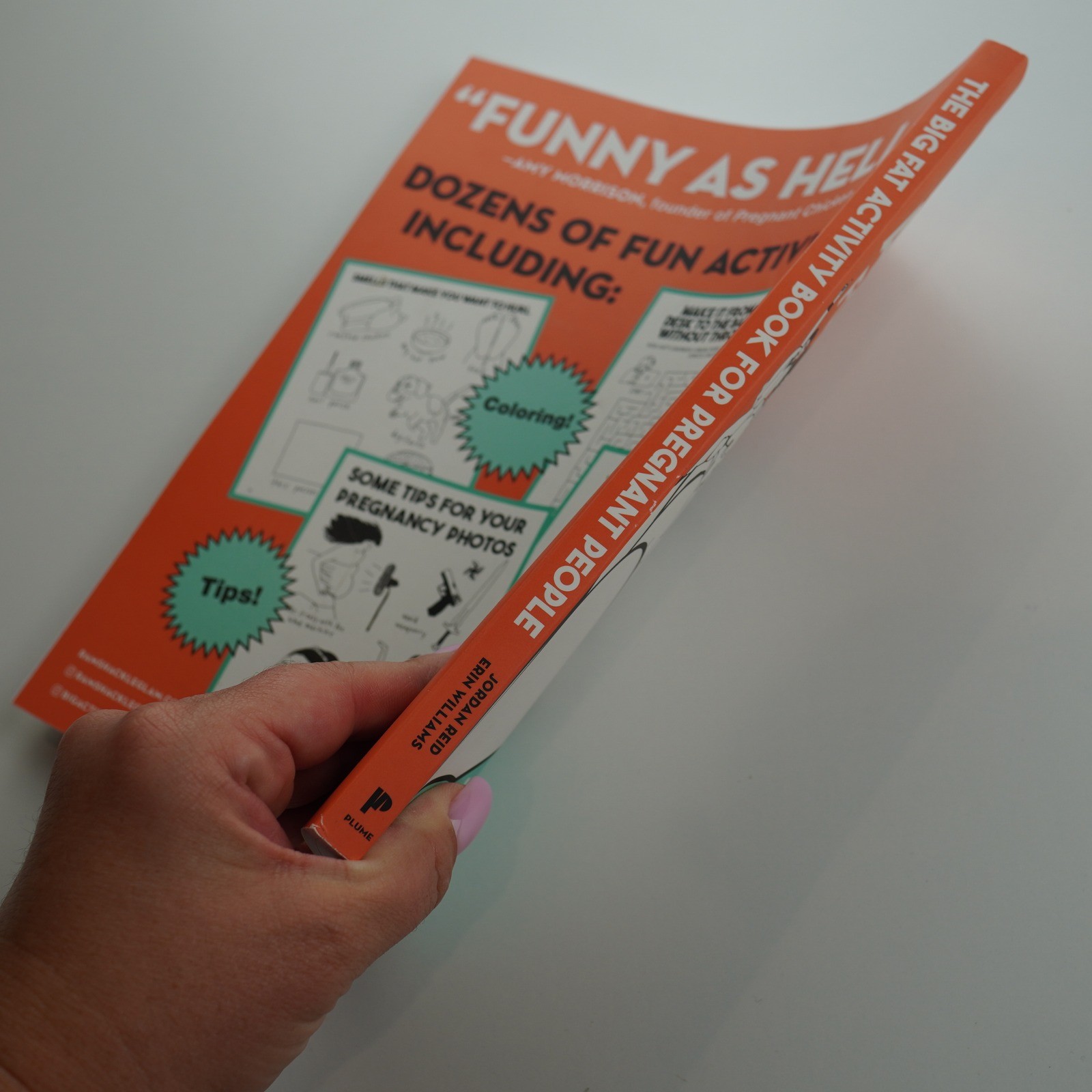 The Big Fat Activity Book For Pregnant People, Jordan Reid & Erin Williams