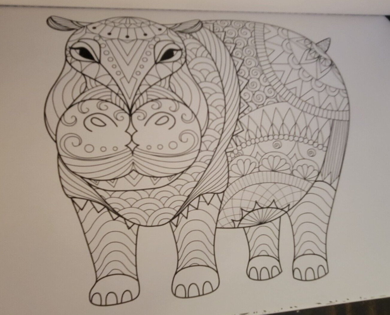 MAJESTIC CREATURES Vol 12 Adult Coloring Book With 47 Prints Ready To Frame