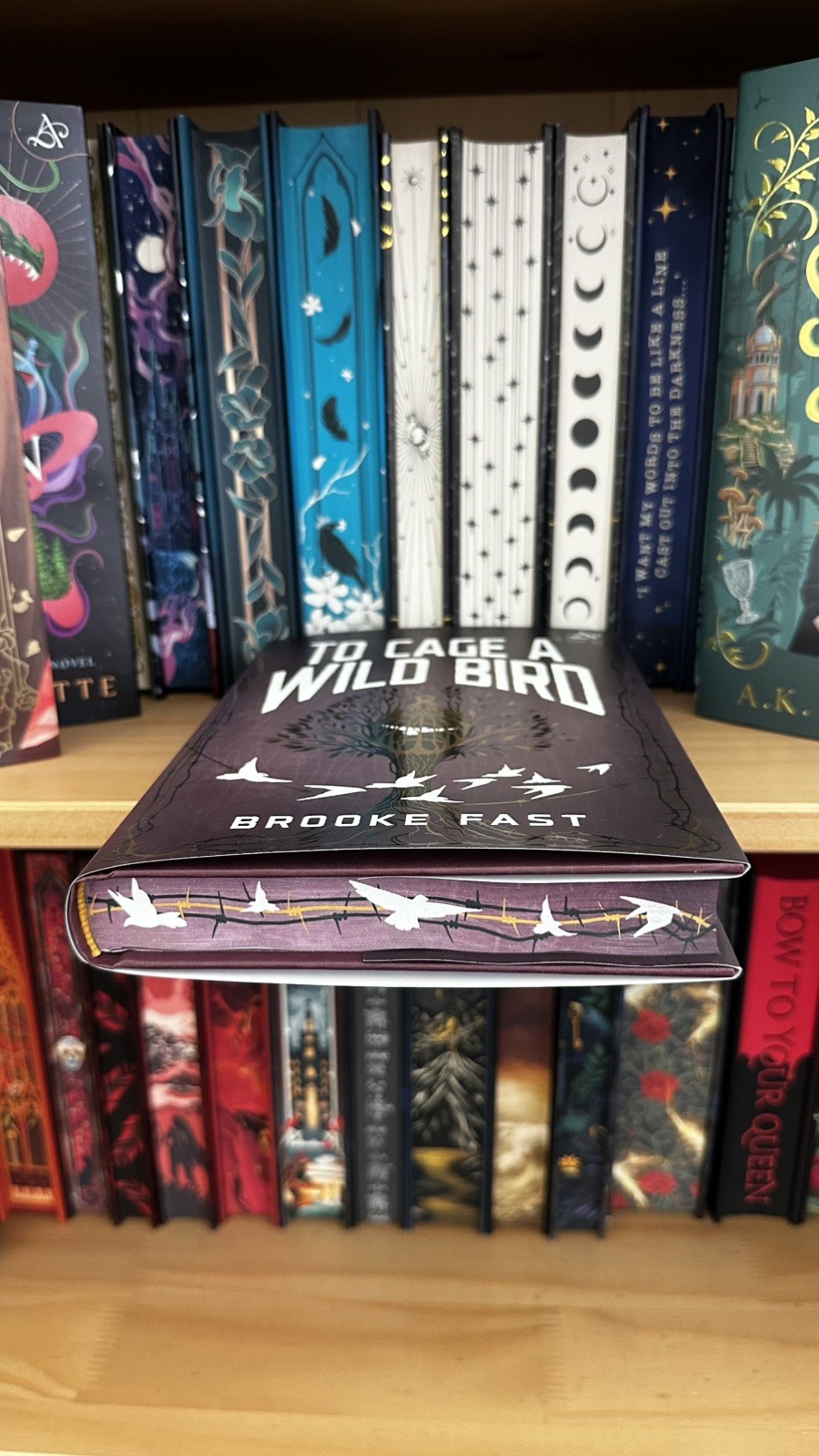 Allurial To Cage a Wild Bird Brooke Fast Special Edition Sprayed Edges Hardcover
