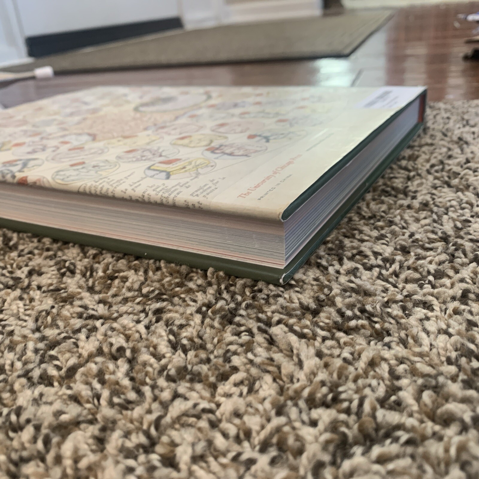 The Curious Map Book by Ashley Baynton-Williams: Used