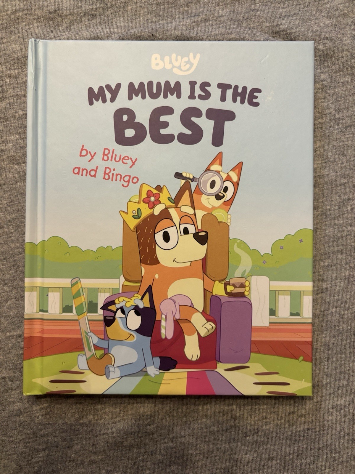 Lot Of 5 Bluey Books. 4 Hardcover And One Paperback