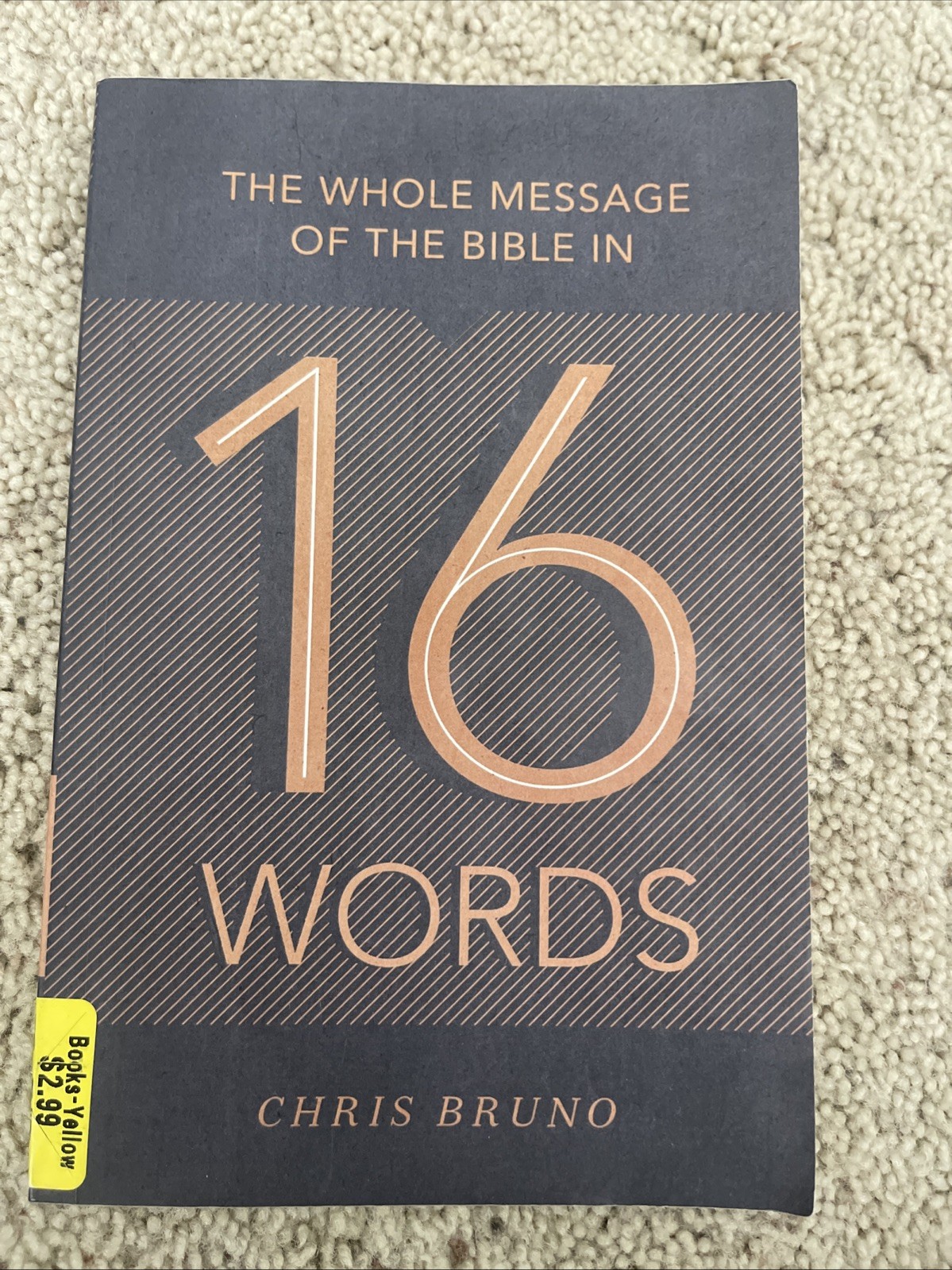 Whole Message of the Bible in 16 Words by Chris Bruno (2017, Trade Paperback)