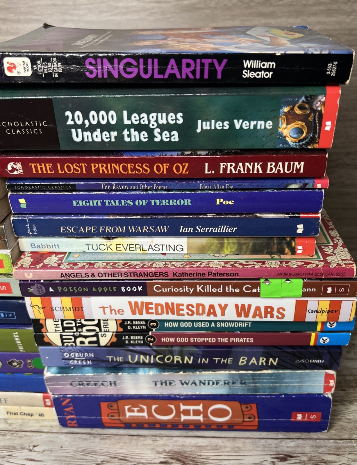 Lot of 28 Grade 3-6 Chapter Books Novels 14lbs / 39 Clues, ECHO , School of Fear