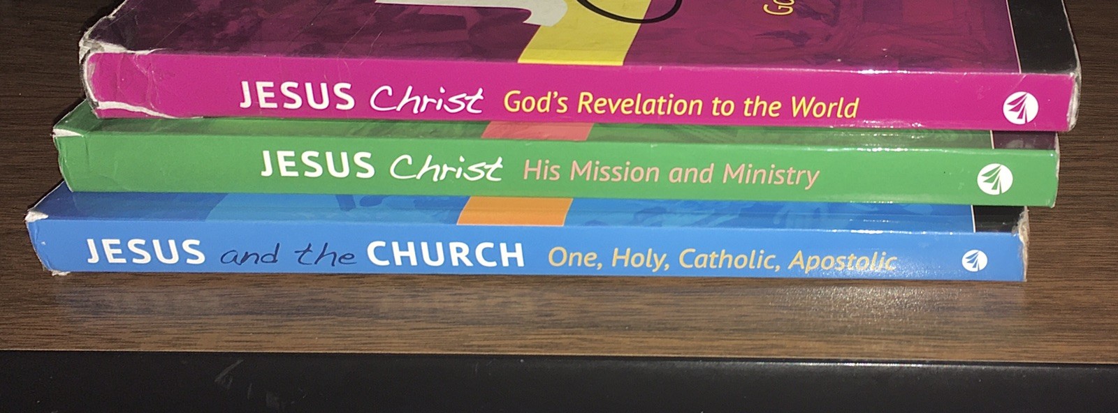 Lot: 4 Ave Maria Press Encountering Jesus Series Books
