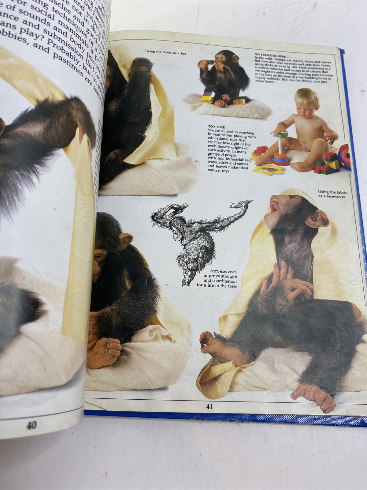 Mammal – Steve Parker (Hardcover, 1989)
