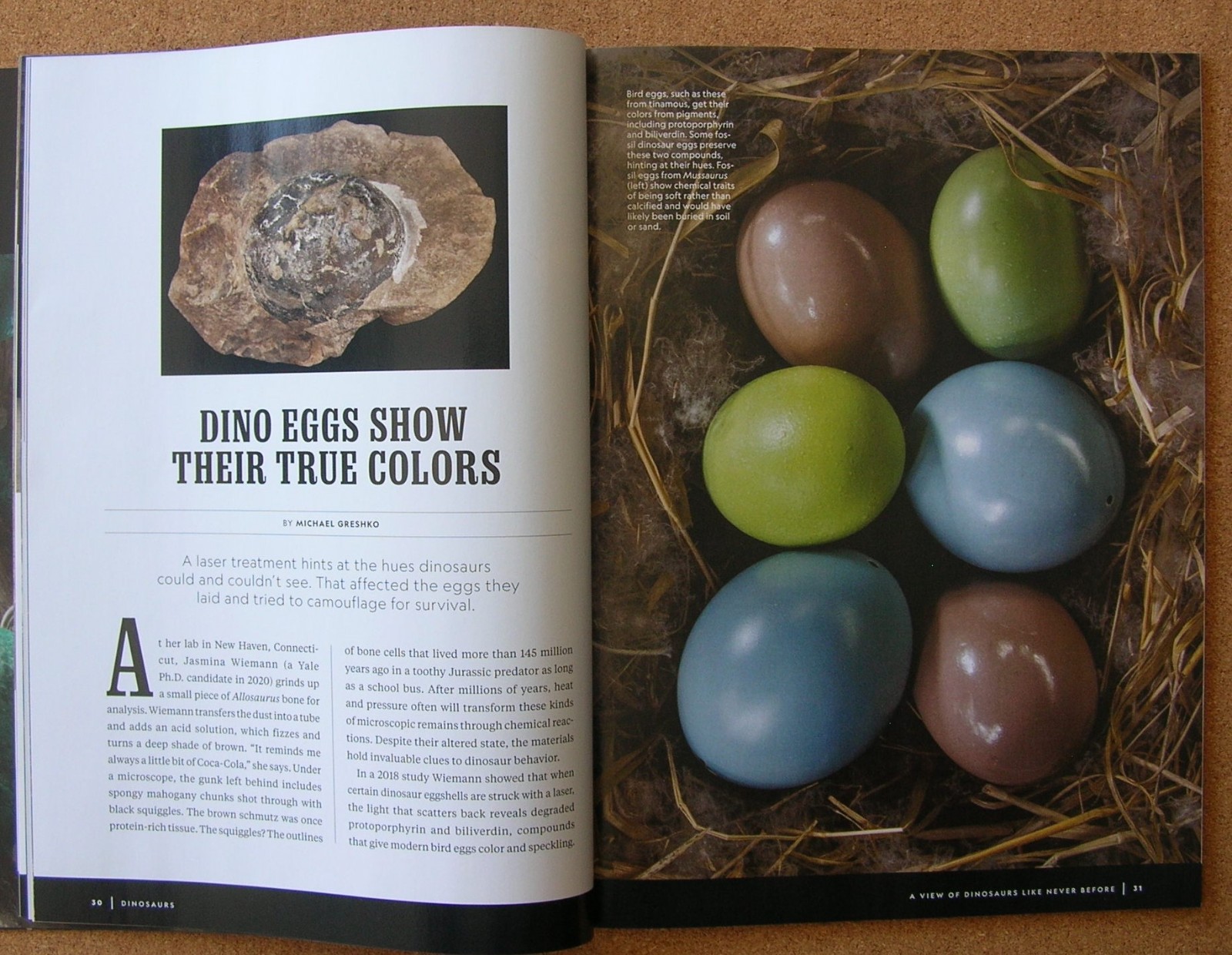 National Geographic DINOSAURS: A New Look at the Prehistoric Icons