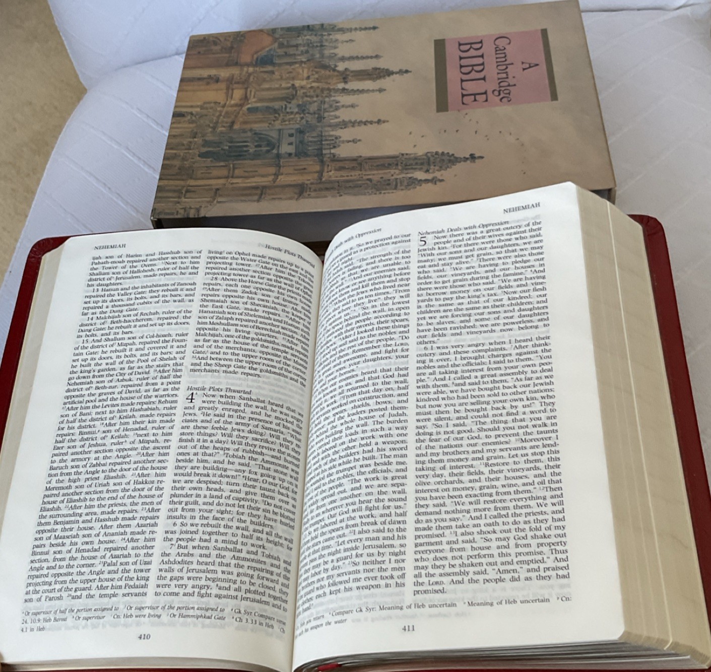 Cambridge NRSV Minster Text Edition Calfskin Leather Apocrypha