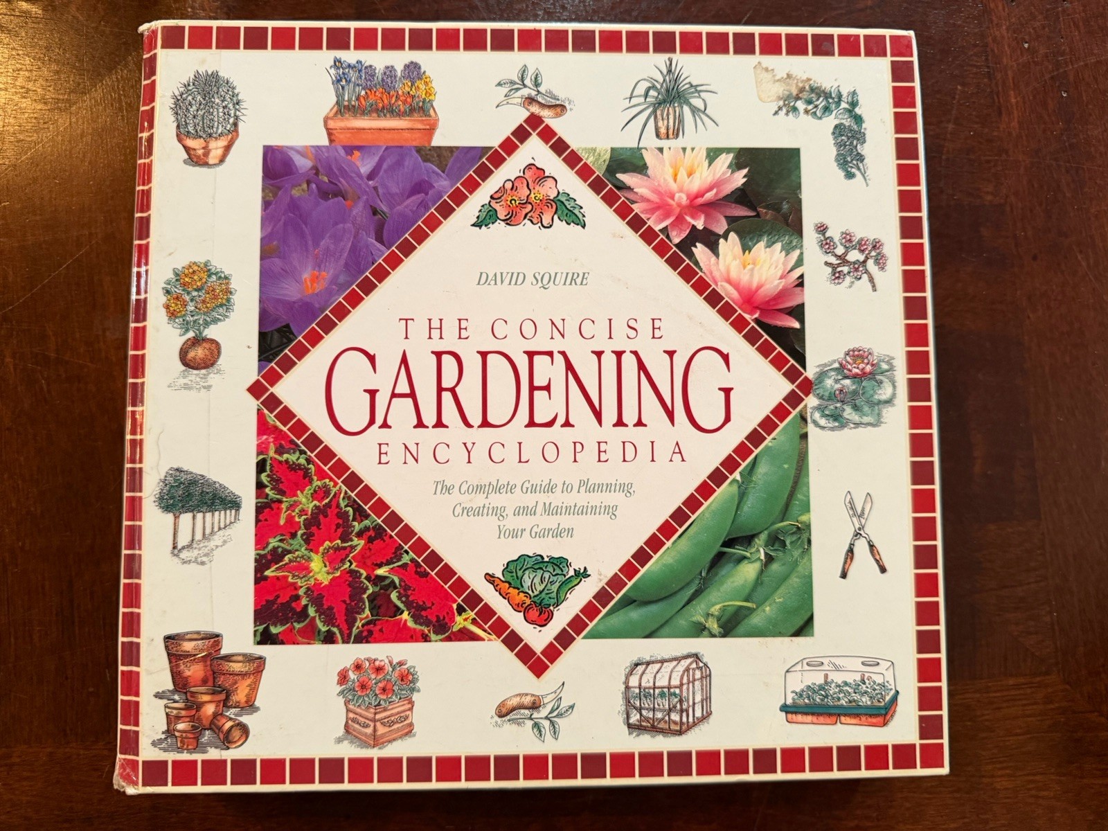 The Concise Gardening Encyclopedia ~ David Squire Flowers Roses Shrubs Trees HC