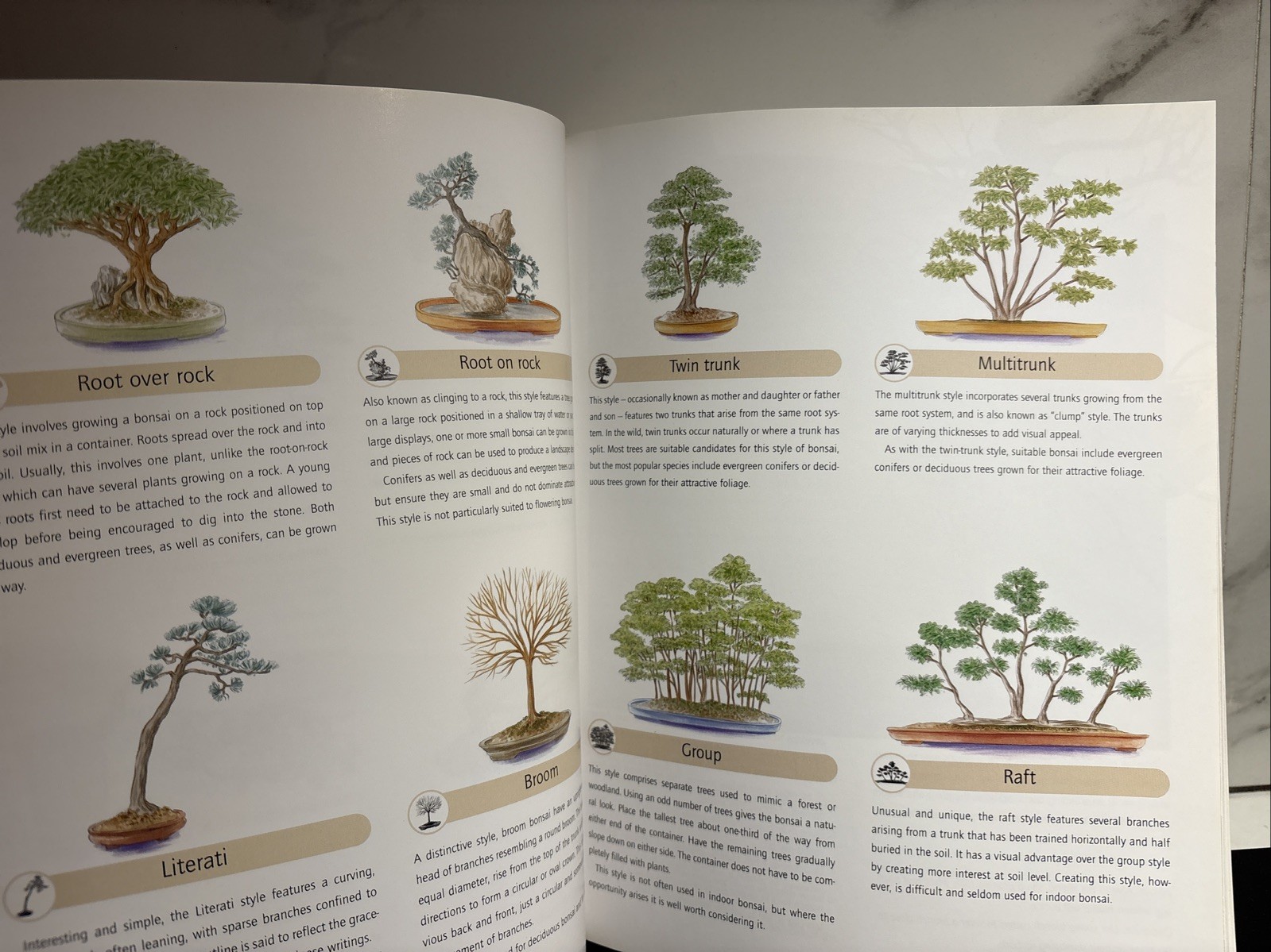 Successful Bonsai, By David Squire