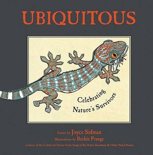 Ubiquitous: Celebrating Nature’s Survivors – Hardcover By Sidman, Joyce – GOOD
