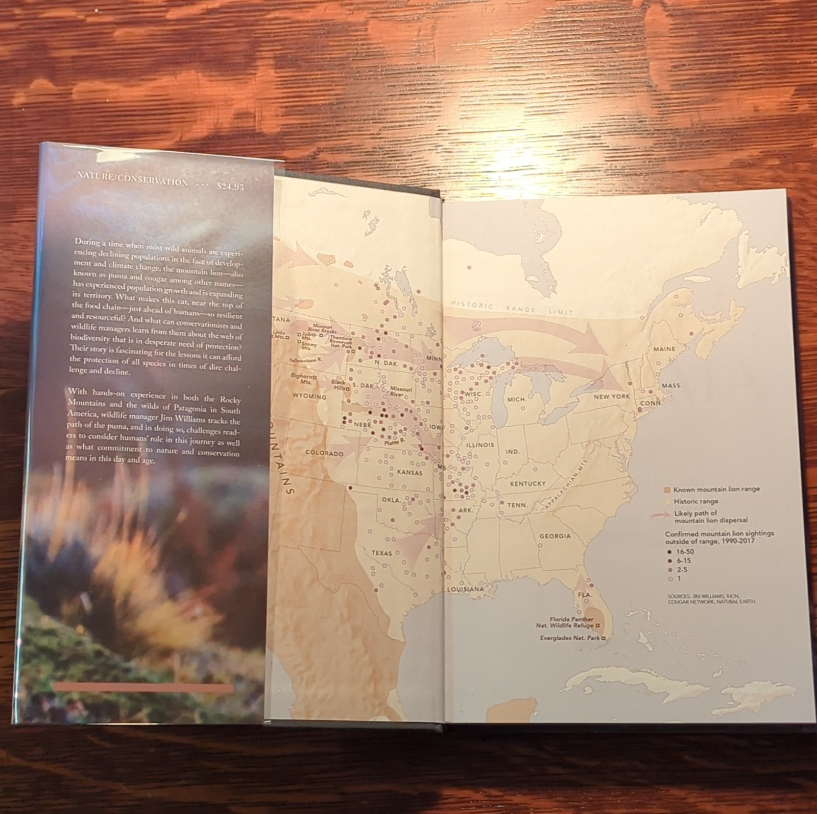 Patagonia Path of the Puma: Mountain Lion Resilience by Jim Williams, Hardcover