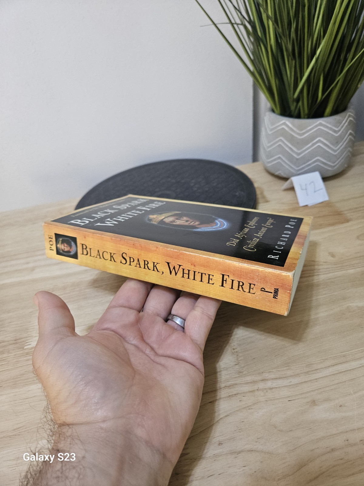 Black Spark, White Fire :Did African Explorers Civilize Ancient Europe? 1999 PB