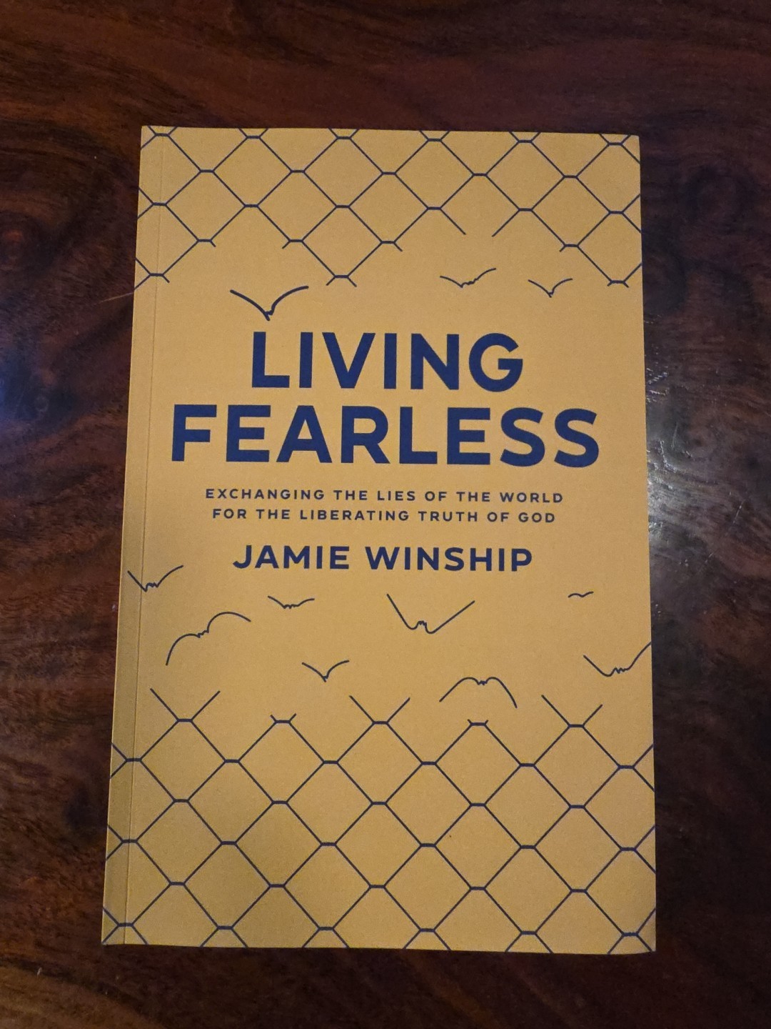 Living Fearless: Exchanging The Lies Of The World For The Liberating Truth 2022