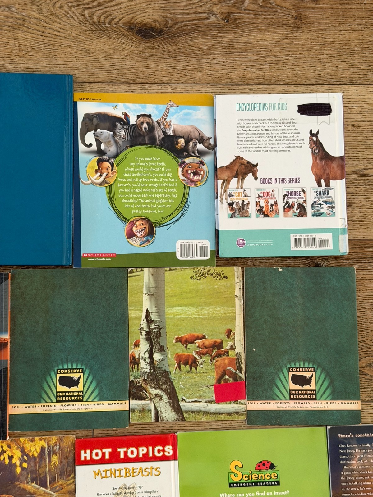 Lot of 15 Children’s Animal animals Picture Books Homeschool Sharks, Reptiles…