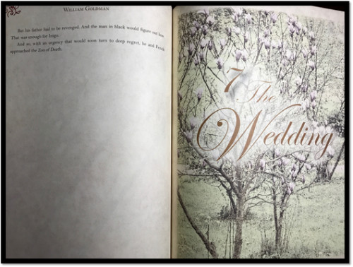 THE PRINCESS BRIDE by William Goldman Gift Collectible Edition Hardcover Book