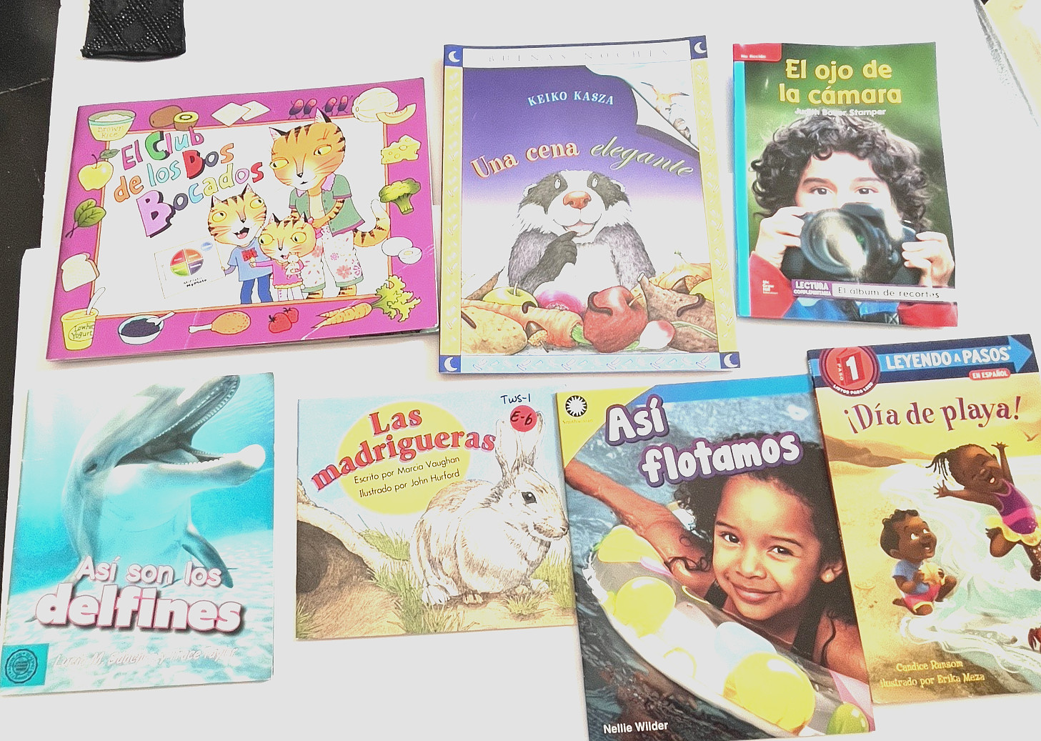 Lot of 22 Spanish Language Books for Young Readers Paperbacks REVIEW photos