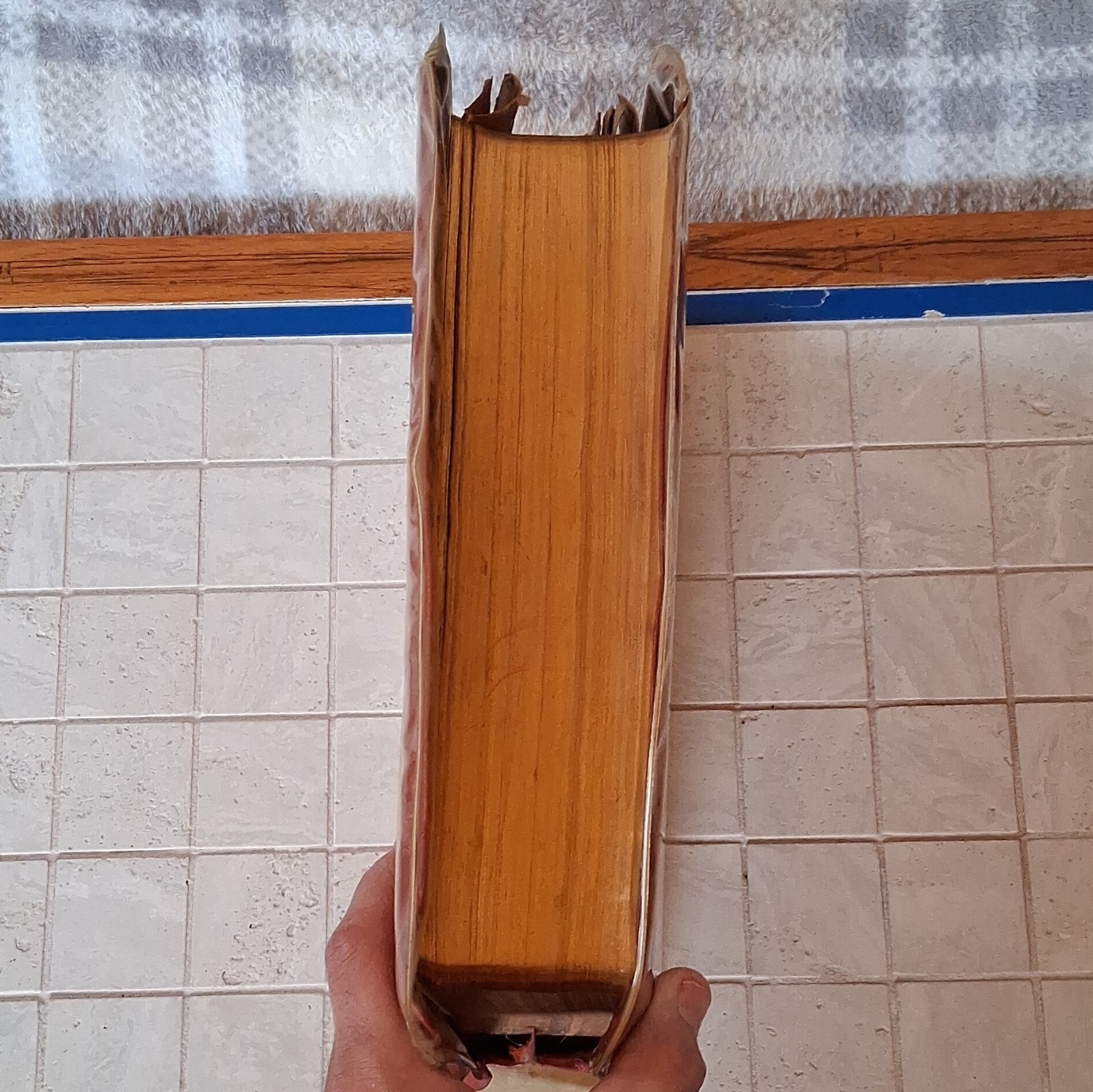 The Holy Bible Papal Edition Hardcover Illustrated The Catholic Press, Inc. 1952