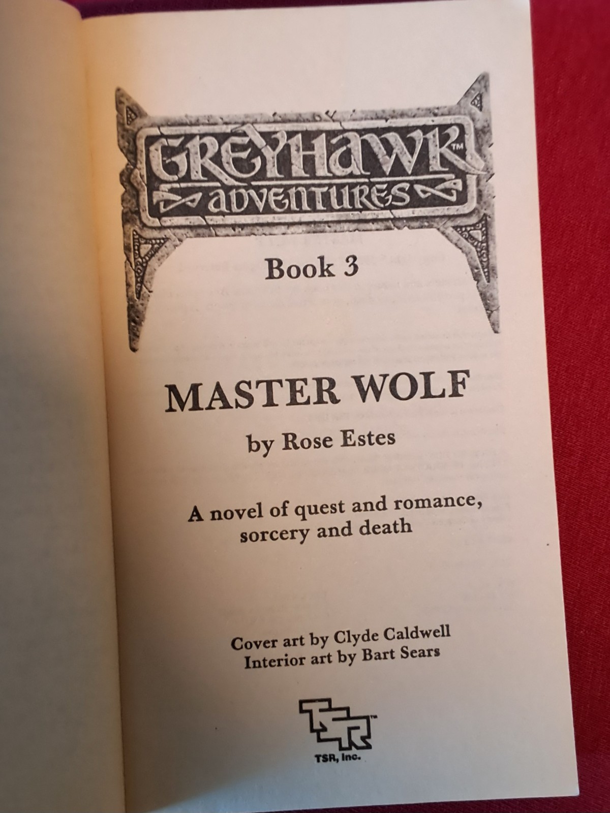 Master Wolf-Greyhawk Adventures book #3 by Rose Estes 1987 First Paperback