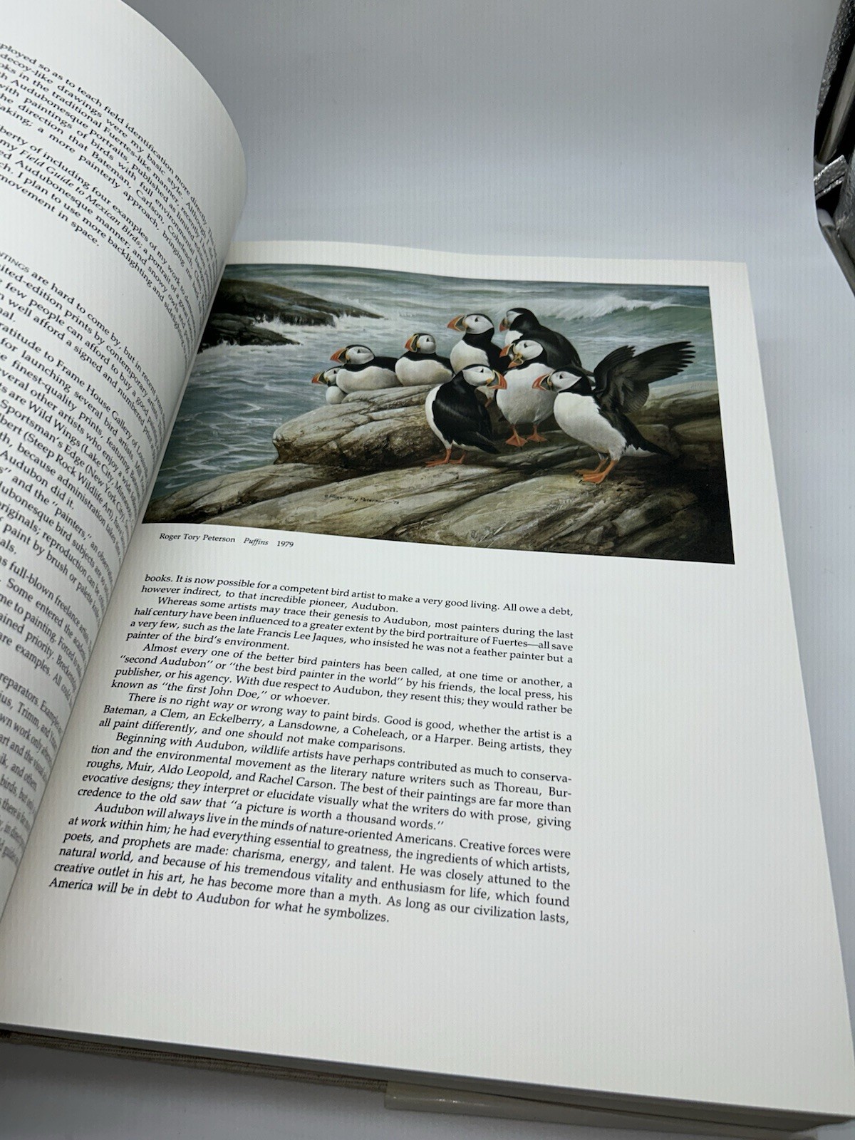 Audubon’s Birds of America Peterson Harrison House Audubon Society 435 Pgs 5B