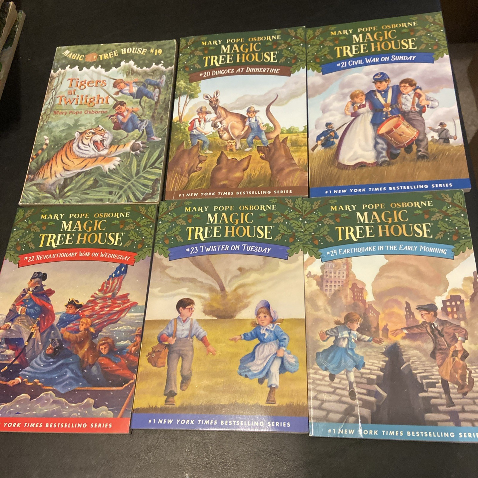 Magic Tree House + Merlin Missions + Research Guide Lot Of 51 PBs Acc-VG Cond