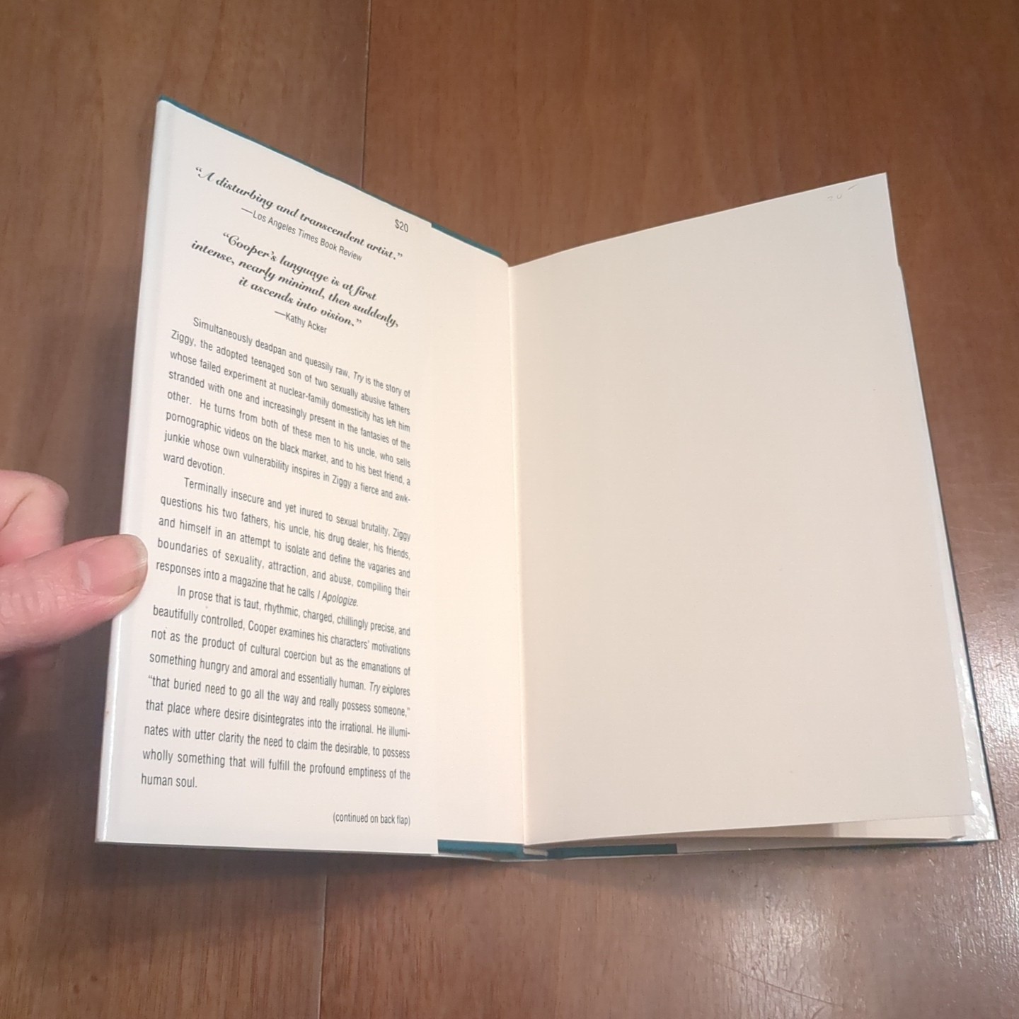 Try by Dennis Cooper (1994, Hardcover) – First Edition