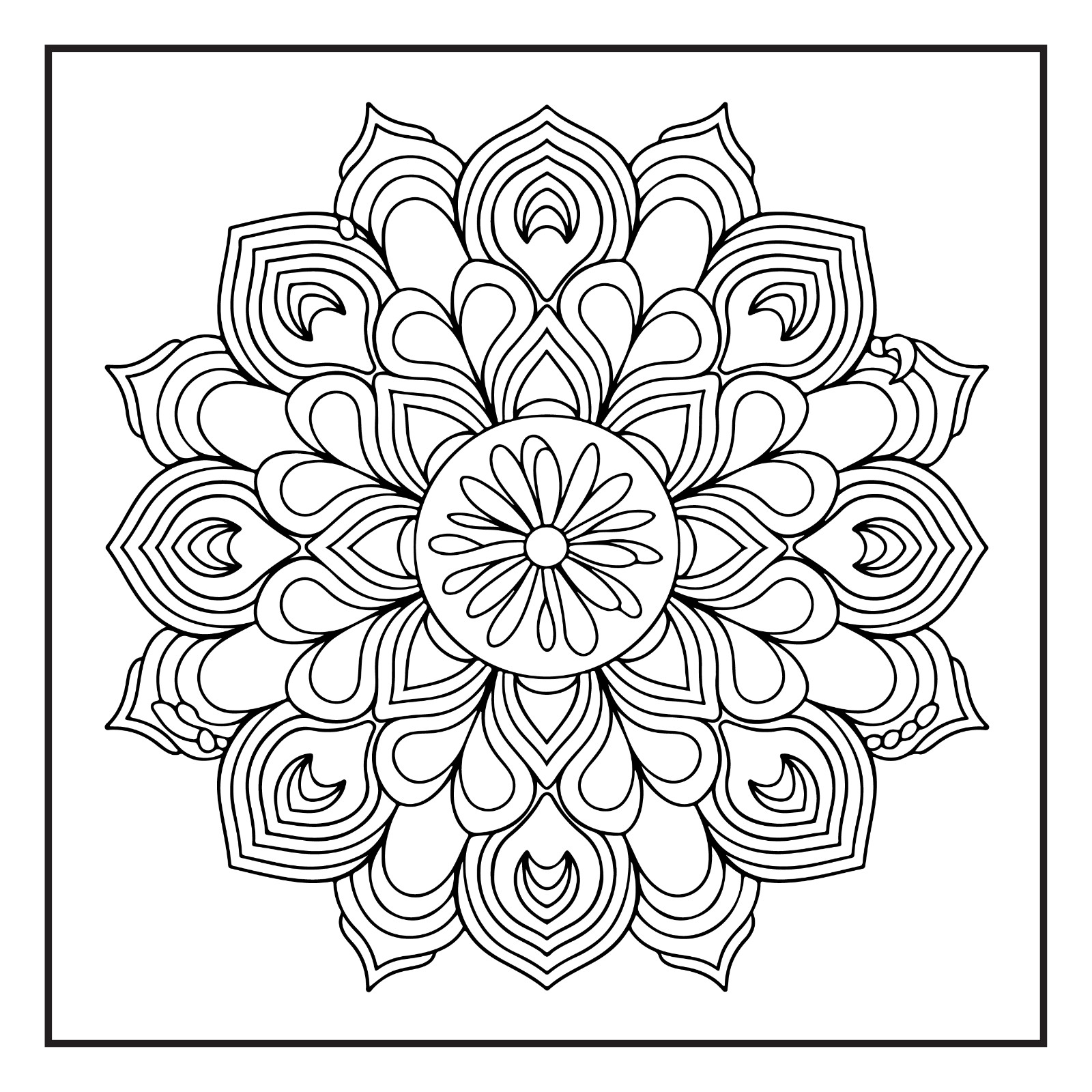 Rockridge Press Mindfulness Mandalas Coloring Book Spiral Bound Coloring Book