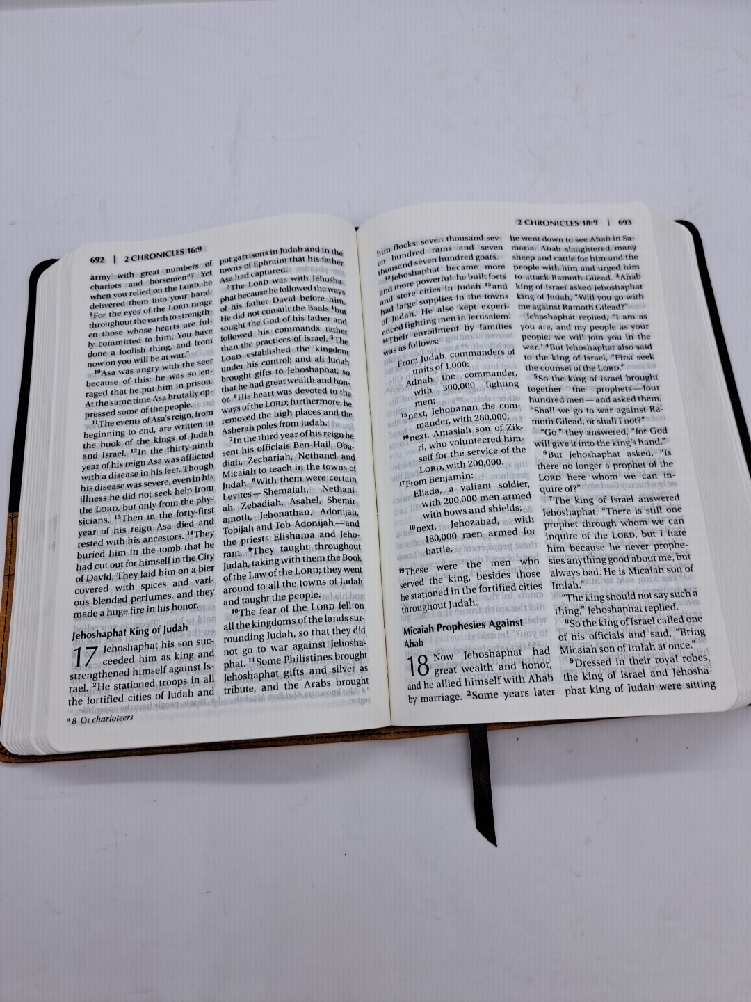 Zondervan Holy Bible NIV New International Version Large Print 2011