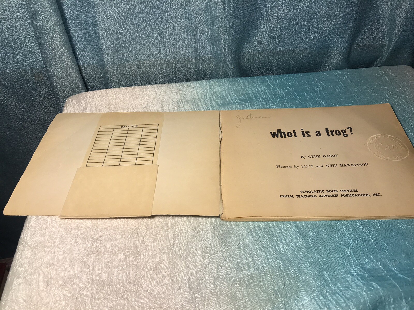 What Is A Frog Vintage 1st Edition Paperback Strange Edition whot iz a frog?
