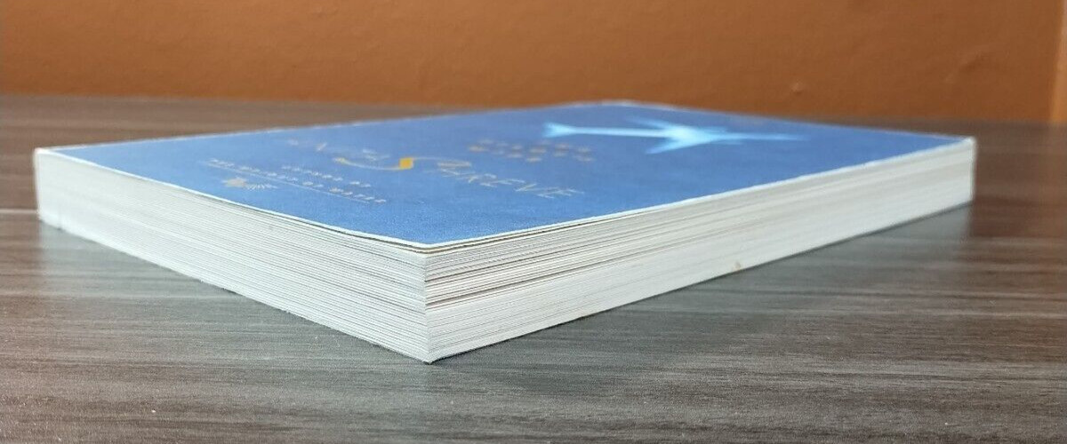The Pilot’s Wife Anita Shreve ARC Advance Reading Copy Little Brown Literary Fic