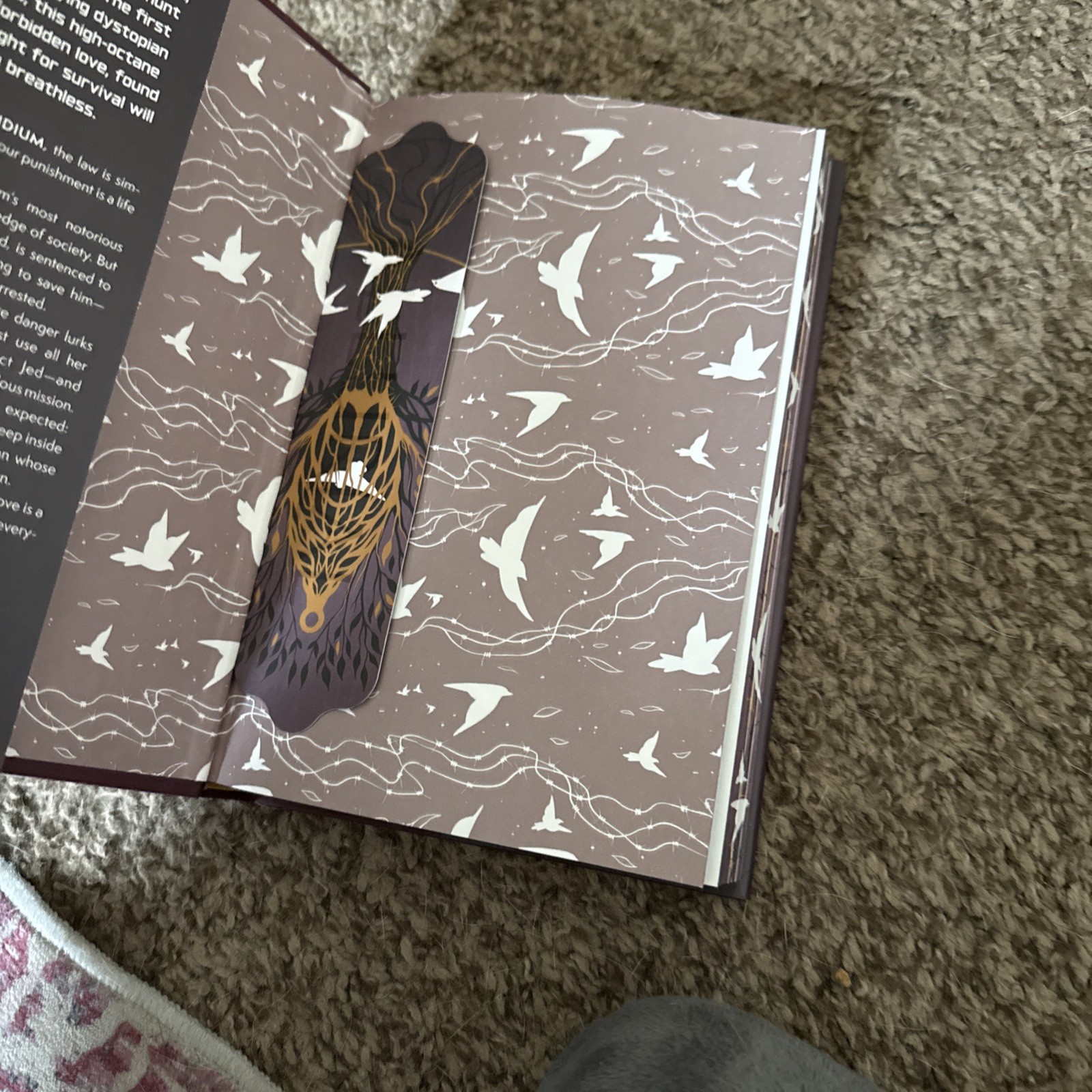 To Cage A Wild Bird By Brooke Fast Allurial Special Edition HardCover & Bookmark
