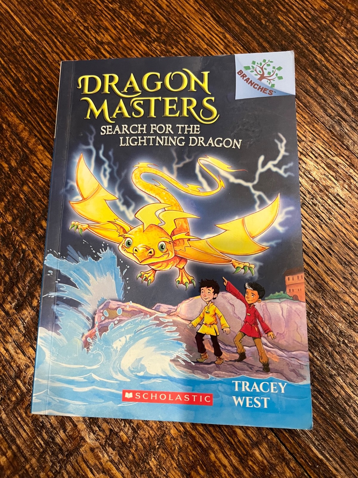 Dragon Masters Books 5-8 Scholastic Fantasy Adventure Paperback Set