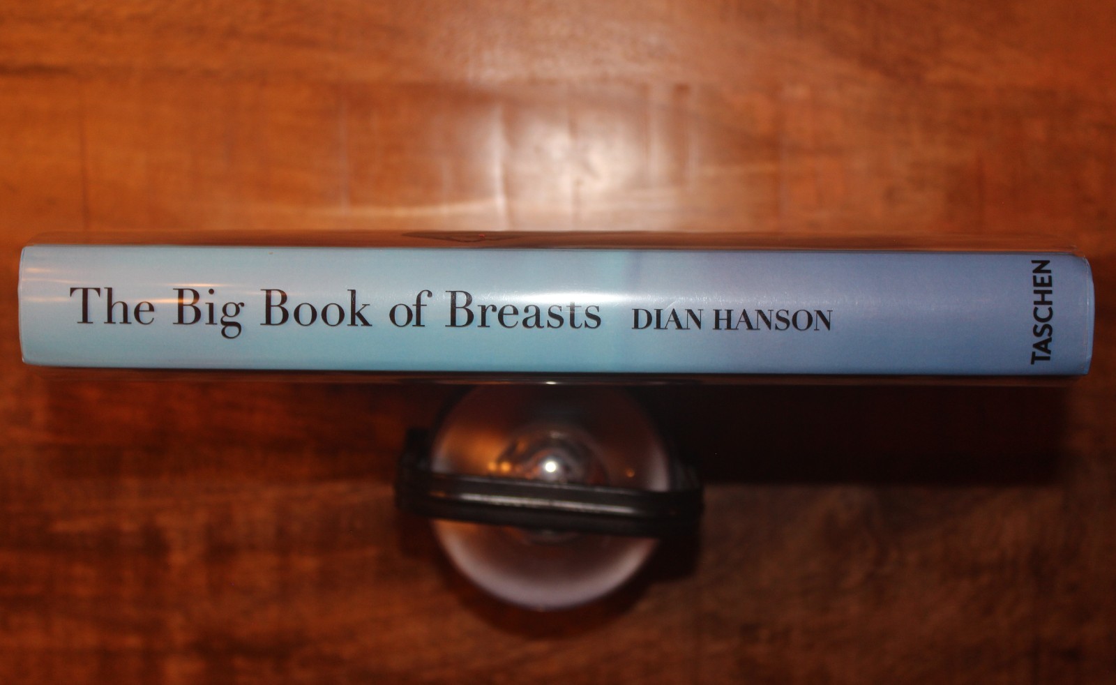 The Big Book of Breasts by Dian Hanson (Hardcover, 2022)
