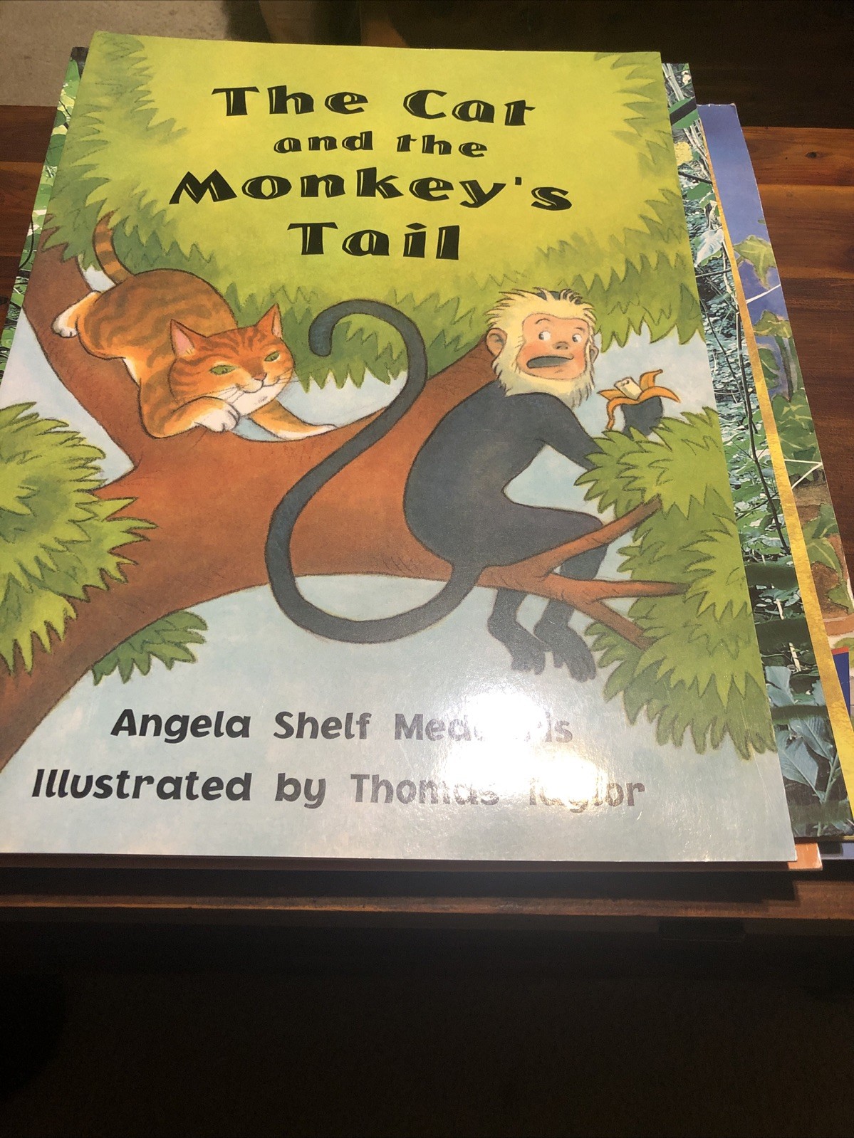 TEACHER BIG BOOKS – Many Different Book Titles – Only $18 Each – Free Shipping