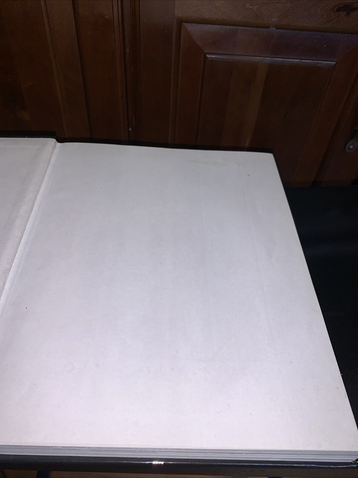 This is Gonna Hurt Picture Book PB by Nikki Sixx Music Photos Lifestyle Vivid