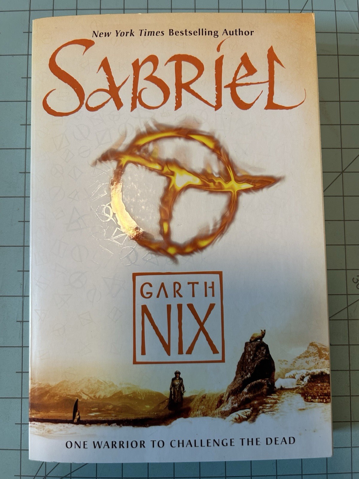 Sabriel By Garth Nix Paperback Novel Like New Single Book