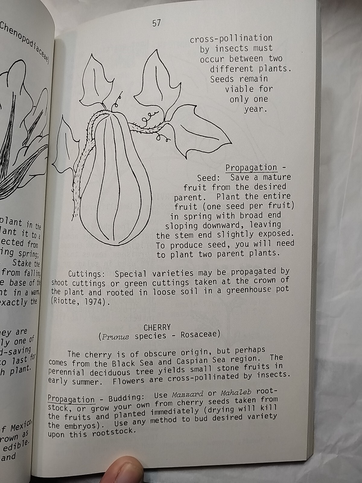 Compleatly Self-Sufficient Food-Plant Propagation 1978 Signed Herm Fitz (218)
