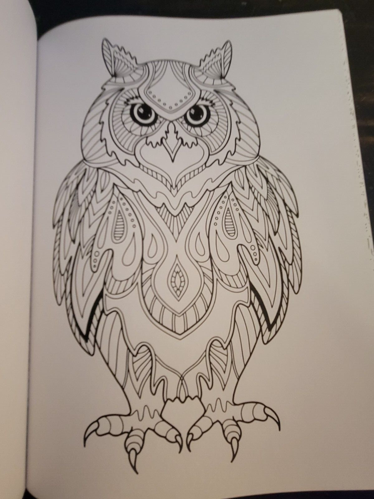 MAJESTIC CREATURES Vol 12 Adult Coloring Book With 47 Prints Ready To Frame