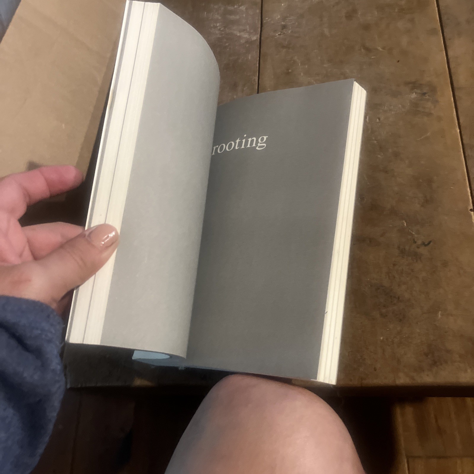Sun and Her Flowers by Rupi Kaur (2017, Trade Paperback)