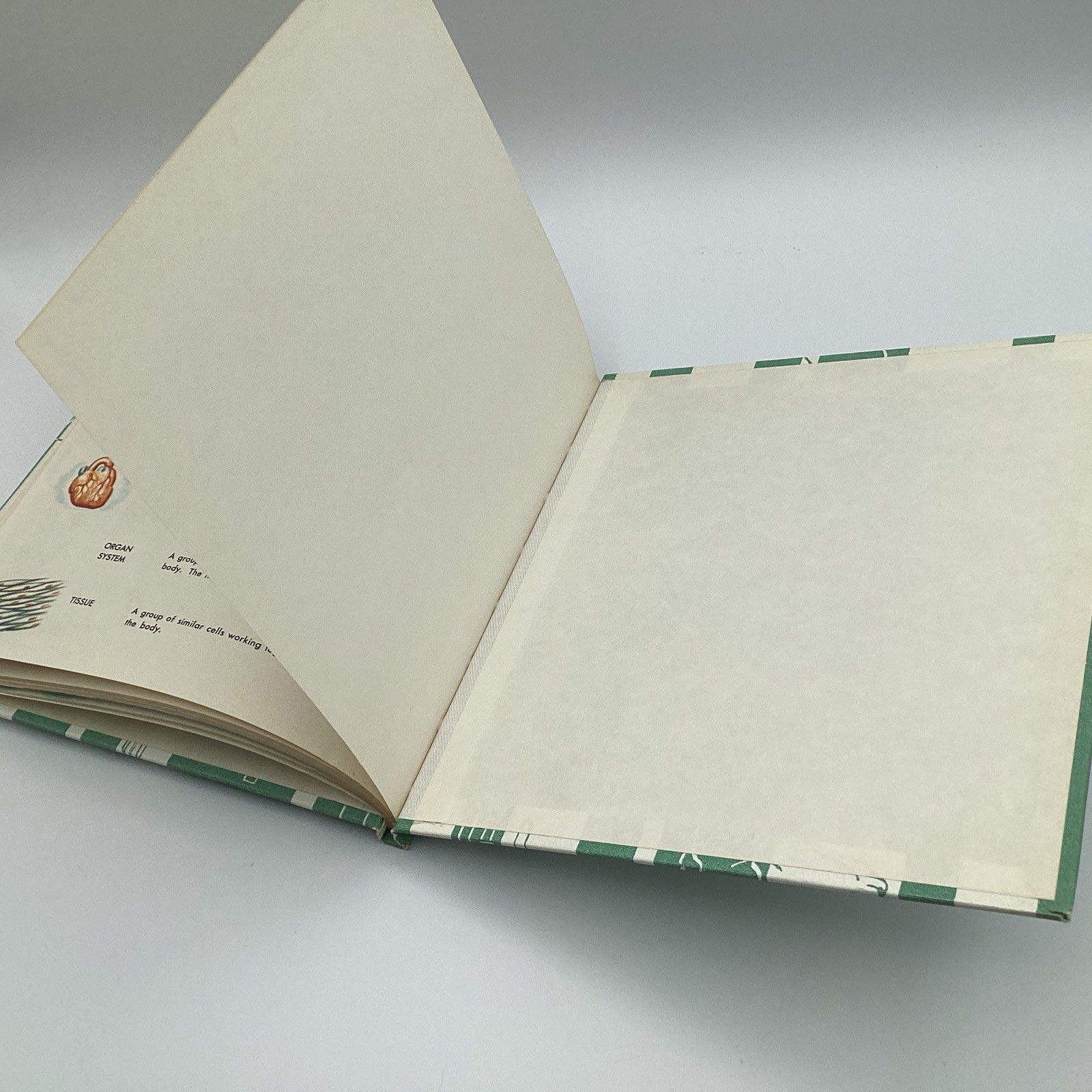 WHAT IS A HUMAN, (what is series) 1964 Benefic Press, by Melvin Alexenberg