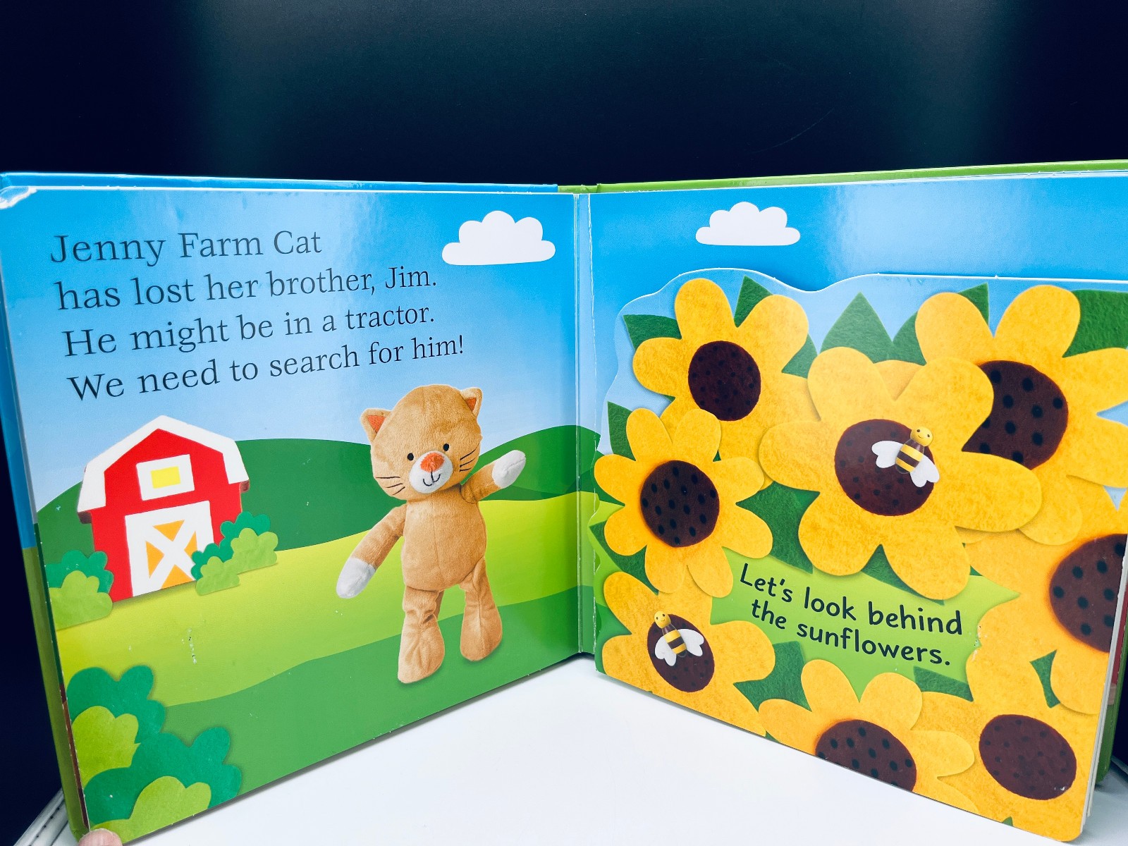 Lot of 10 Children’s Baby Toddler Board Picture Books Kids Daycare Family VIDEO