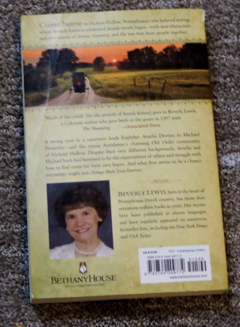 The Fiddler by Beverly Lewis Paperback 323 pages Book