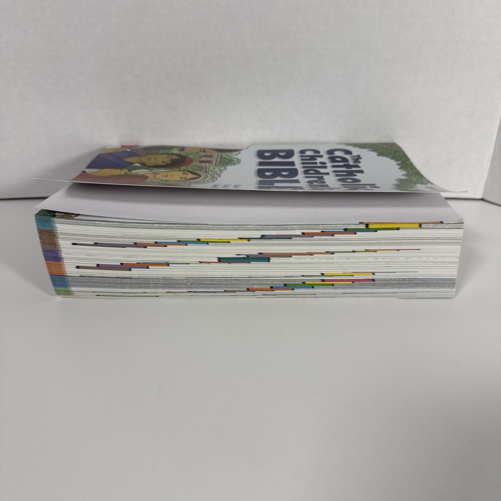Catholic Children’s Bible by Saint Mary’s Press Staff (2018, Trade Paperback)