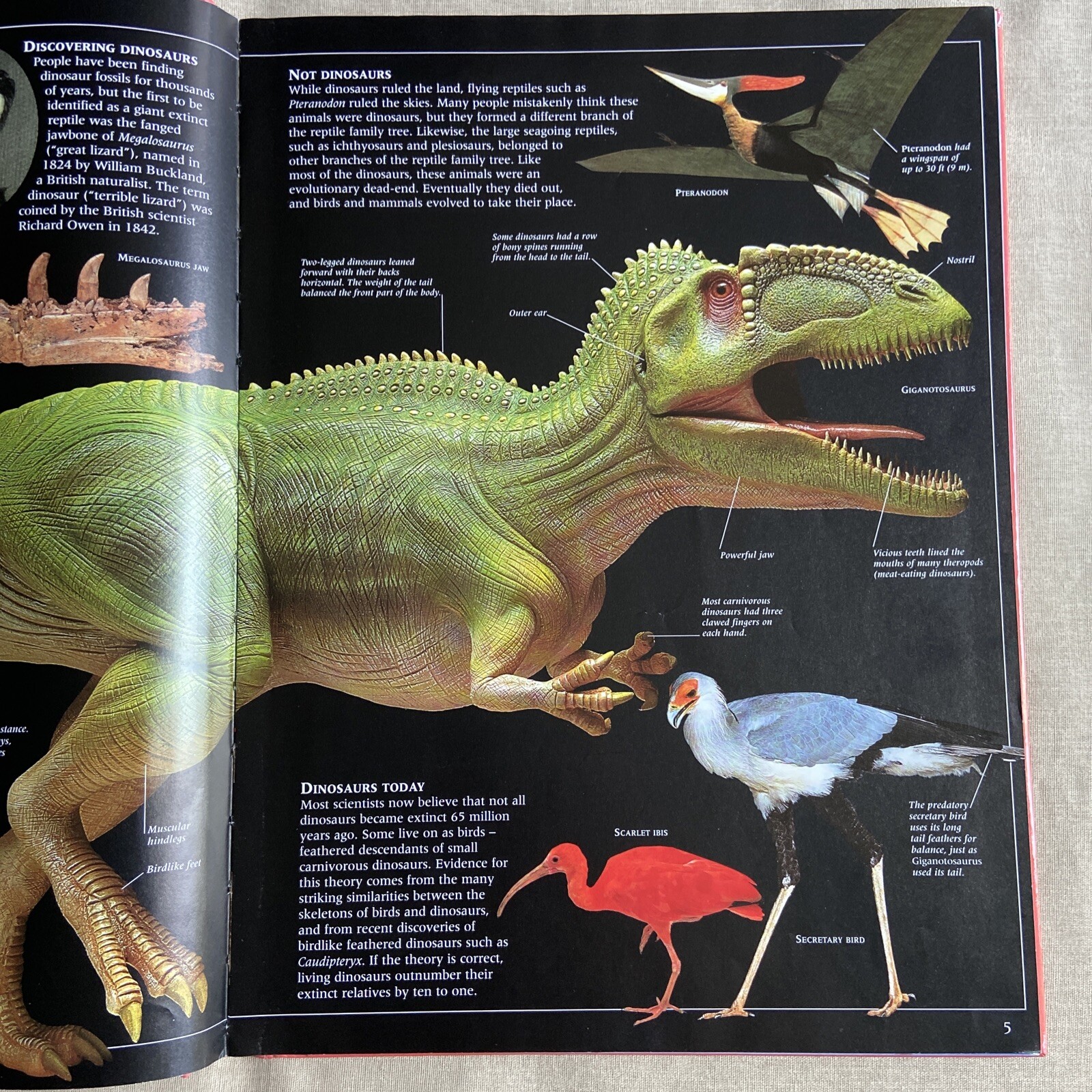 Guide to Dinosaurs by David Lambert (2000, DK Hardcover PERMA-BOUND) Children NF