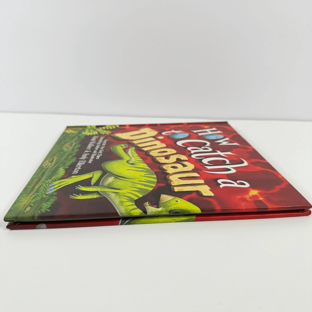 Adam Wallace’s How to Catch a Dinosaur book (Hardcover)