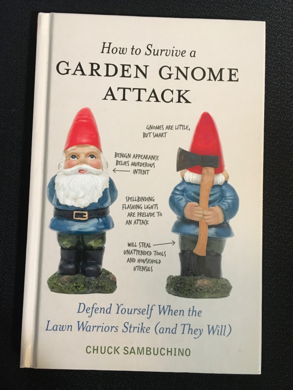 HOW TO SURVIVE A GARDEN GNOME ATTACK Lawn Warriors Defend Yourself SAMBUCHINO HC