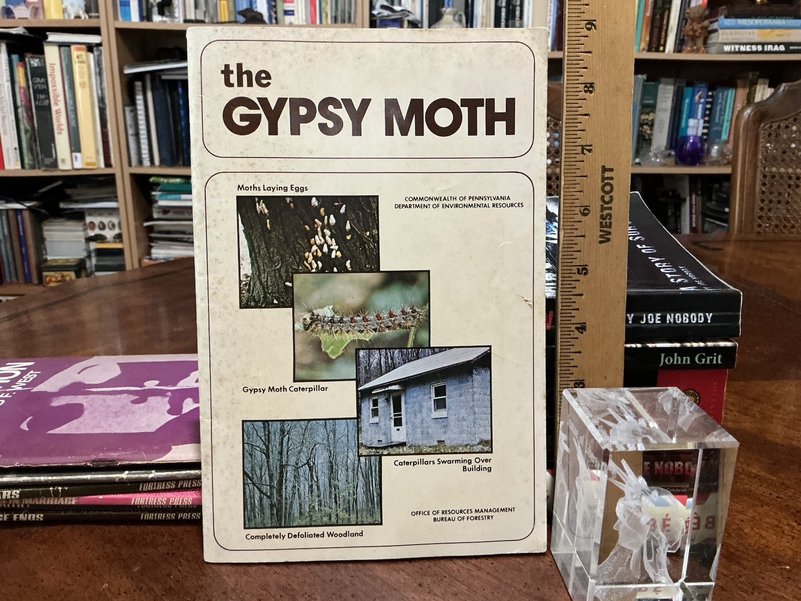 1980 the gypsy moth commonwelth of pennsylvania book 34 pages Paperback VG